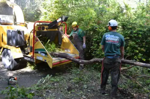 tree services Pasatiempo